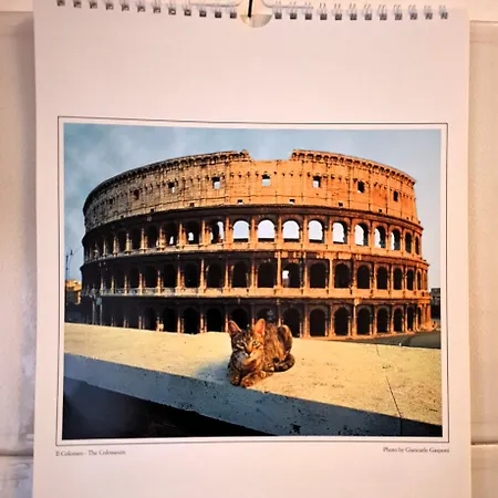 公寓 Locazione Turistica Di Alberto 罗马